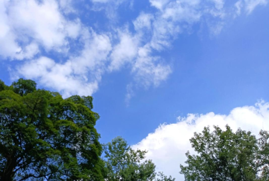 桂城街道平洲一中