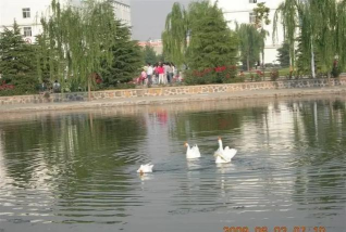 汤阴县五陵镇第一初级中学