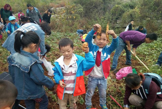 肥城市商业局幼儿园