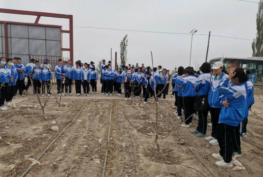 哈密市二堡镇第二中学