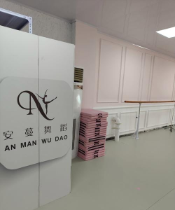 长春春之蕾舞蹈艺术学校有限公司