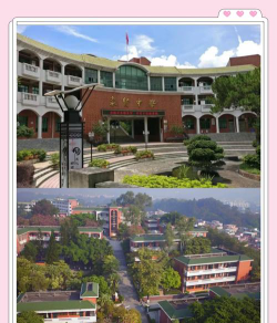 广州市荔湾区精博中英文小学户外活动场地