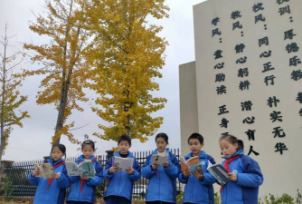 银杏乡中心小学