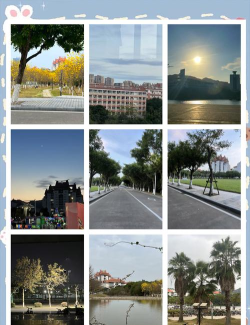 厦门大学嘉庚师范学院