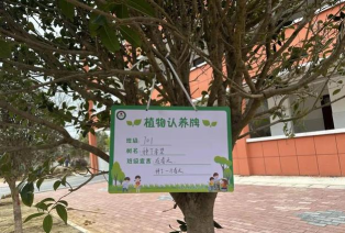 新县八里畈镇初中