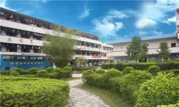 玉林电子工业学校