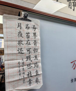 贵阳市南明区素逸书法学校有限公司