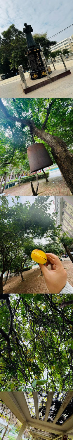 湛江市吴川市第一中学(吴川一中 )