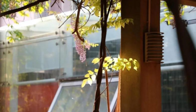 阿城市玉泉高中户外活动场地