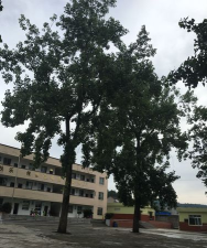 合德镇合兴小学