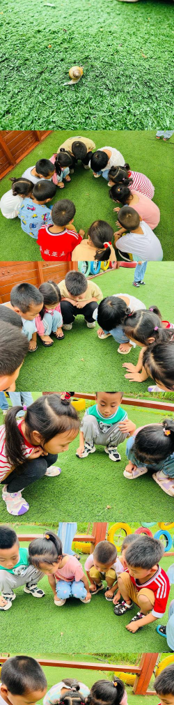 栖霞市蛇窝泊镇东院头幼儿园