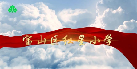 宝山区红星小学