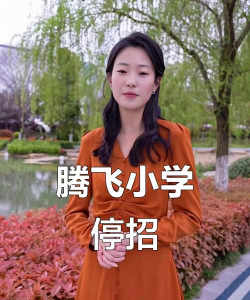 沈阳市铁西区腾飞街第一小学(腾飞小学)