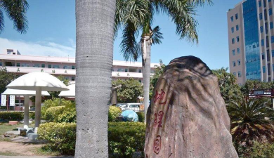 东莞市大朗东明学校