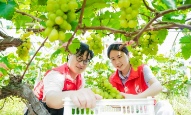 东阳市画溪镇明焕幼儿园