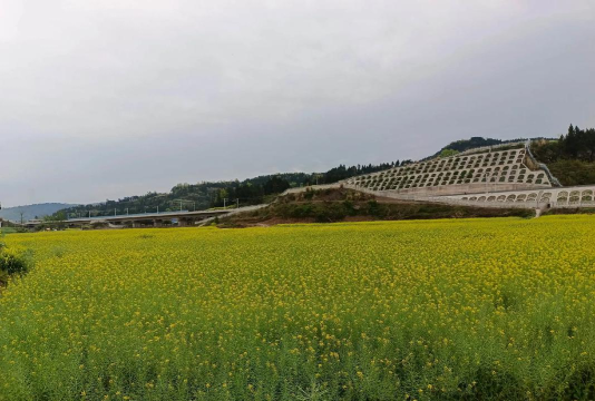 马鞍中学户外活动场地