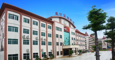 东莞市虎门成才实验学校