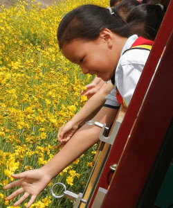 太原市尖草坪区柴村街道办事处芮城中心校