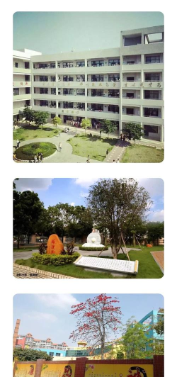 佛山市顺德区陈村镇青云初级中学