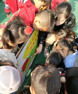 洞头县城关中心幼儿园户外活动场地