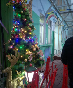 杨浦区格林双阳幼稚园