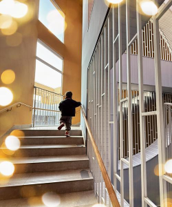 嘉定区安亭新源路幼儿园