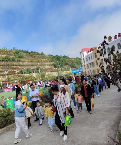 牡丹江市东宁县东宁镇教育幼儿园