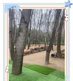 沈阳市铁西区云峰街道幼儿园