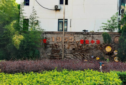 乐亭县直机关第三幼儿园户外活动场地