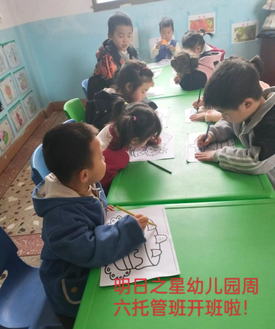 天津市宁河区芦台镇明曰之星幼儿园户外活动场地