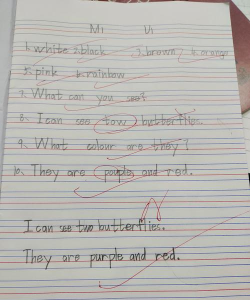 北京市平谷区夏各庄镇纪太务幼儿园