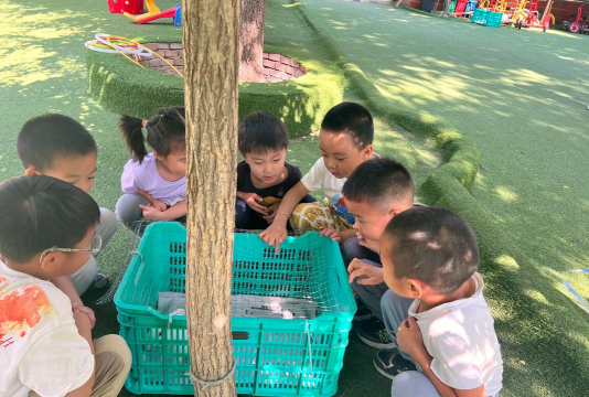 北京市昌平区小脚丫幼儿园户外活动场地