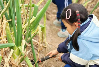 北京市昌平区云帆幼儿园户外活动场地
