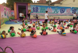 北京市通州区绿荫宝贝幼儿园户外活动场地