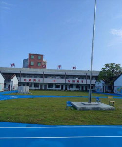 东莞东坑德才小学