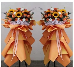 荔波县茂兰镇幼儿园