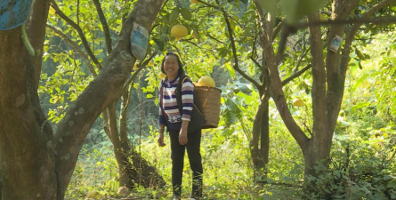 大观镇建丰村幼儿园