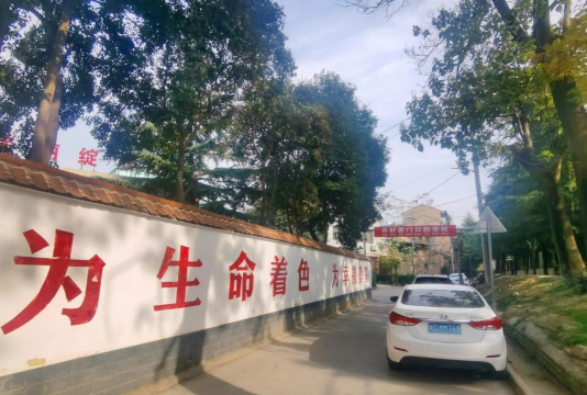 三水区育才小学