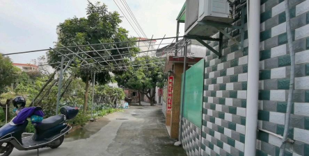 佛山市顺德区杏坛新联小学