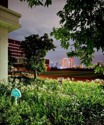 佛山市顺德区杏坛南华小学