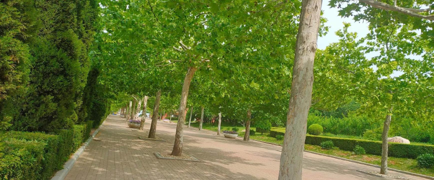 普兰店市第三十二中学