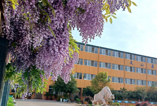 平乡县紫藤花艺术培训学校户外活动场地