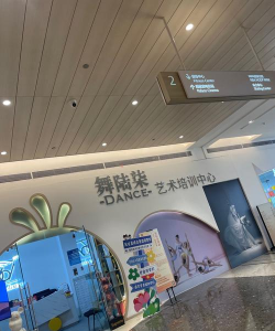 重庆两江新区四季交响艺术培训有限公司