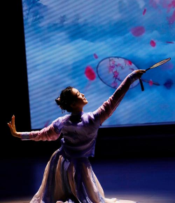 将乐县心舞艺术培训有限公司