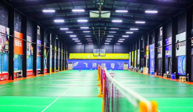 南京轻羽飞扬体育发展有限公司