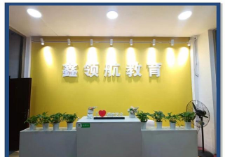 泸西县领航艺术培训学校有限公司