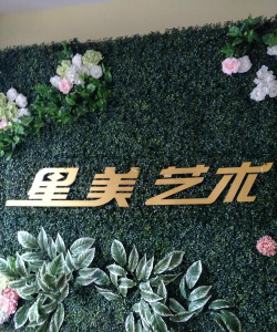 乌鲁木齐星美艺术培训有限公司