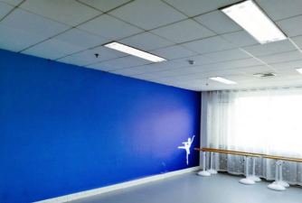 濮阳市梦芭蕾艺术培训有限公司