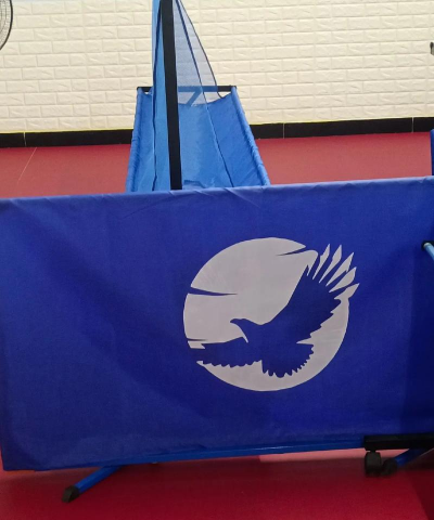 雏鹰体育培训（泰州）有限公司