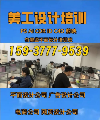 东莞市石龙灵风艺术培训中心有限公司